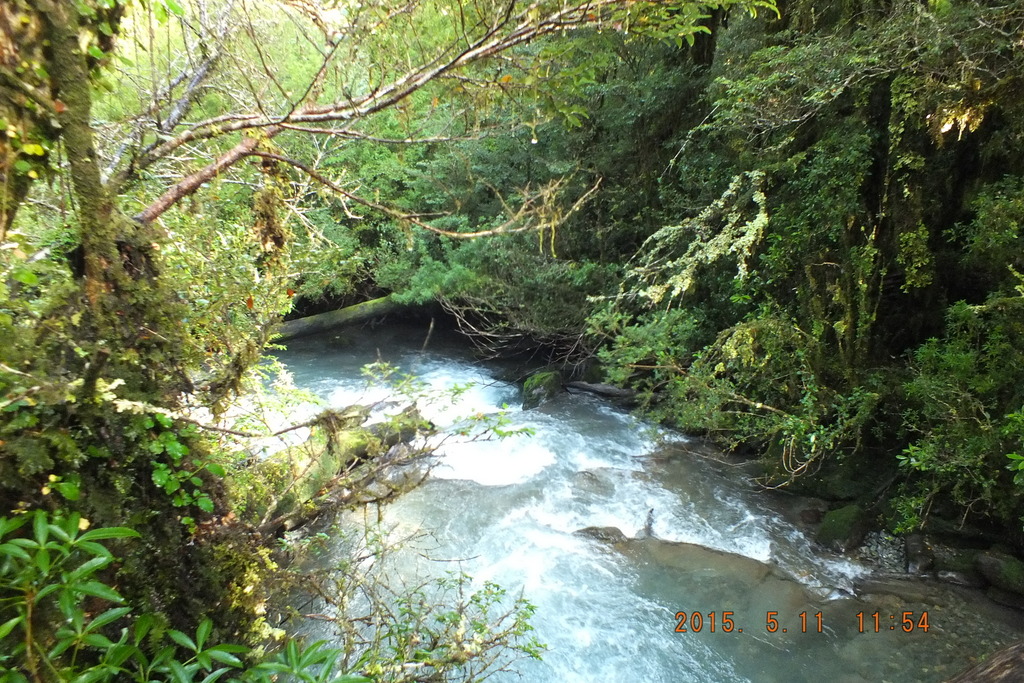 Foto: Carretera Austral - Aysen (Aisén del General Carlos Ibáñez del Campo), Chile