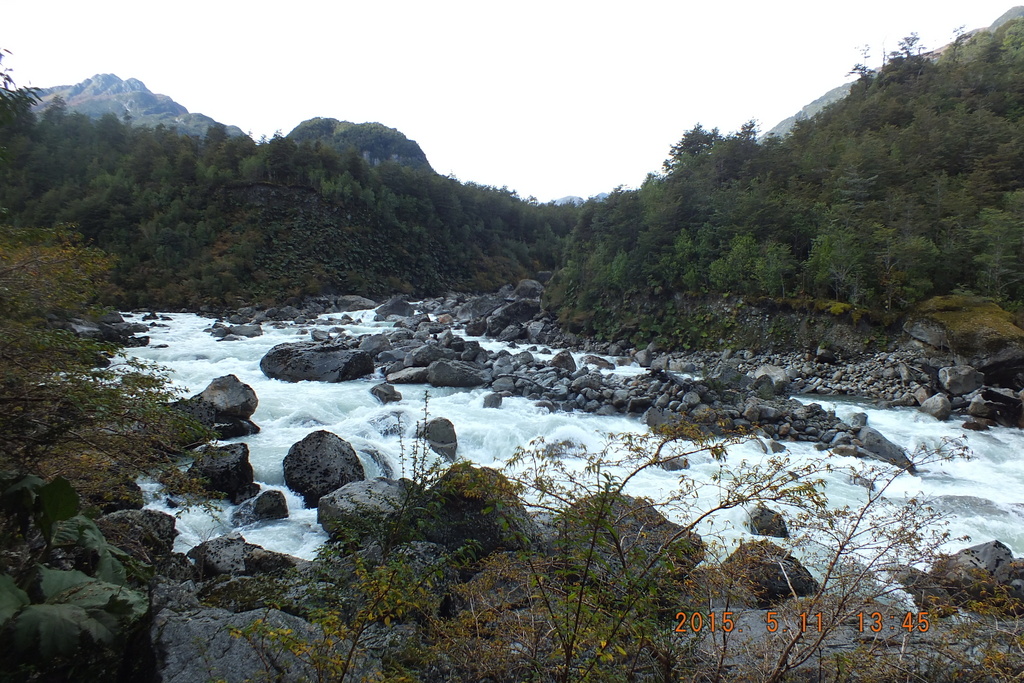 Foto: Parque Nacional Queulats - Aysen (Aisén del General Carlos Ibáñez del Campo), Chile