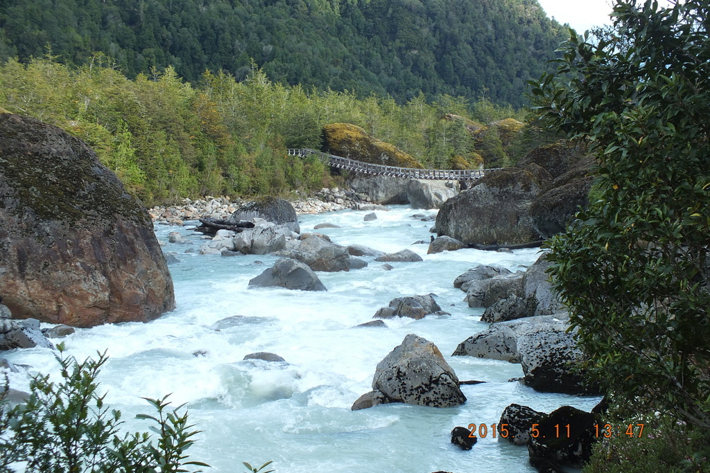 Foto: Parque Nacional Queulats - Aysen (Aisén del General Carlos Ibáñez del Campo), Chile