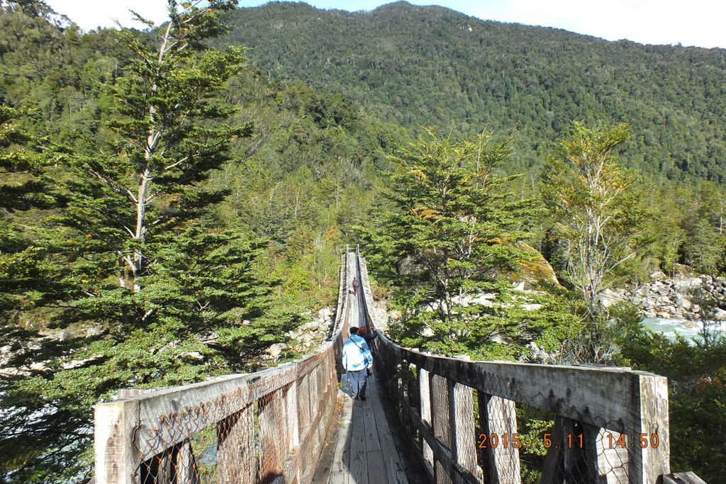 Foto: Parque Nacional Queulats - Aysen (Aisén del General Carlos Ibáñez del Campo), Chile