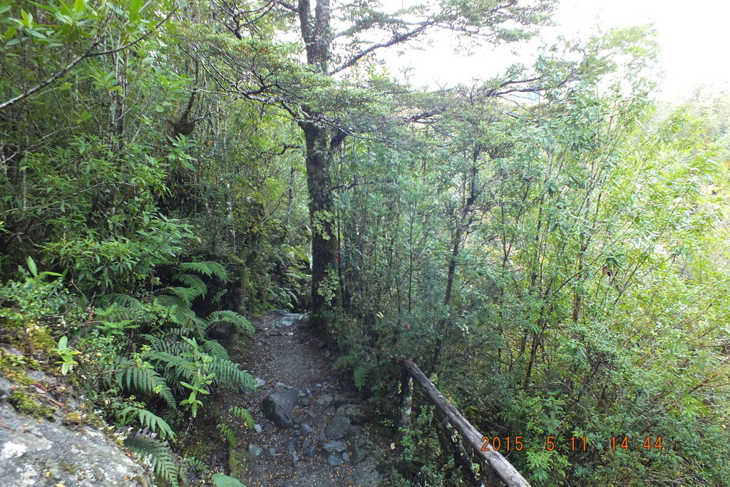 Foto: Parque Nacional Queulats - Aysen (Aisén del General Carlos Ibáñez del Campo), Chile