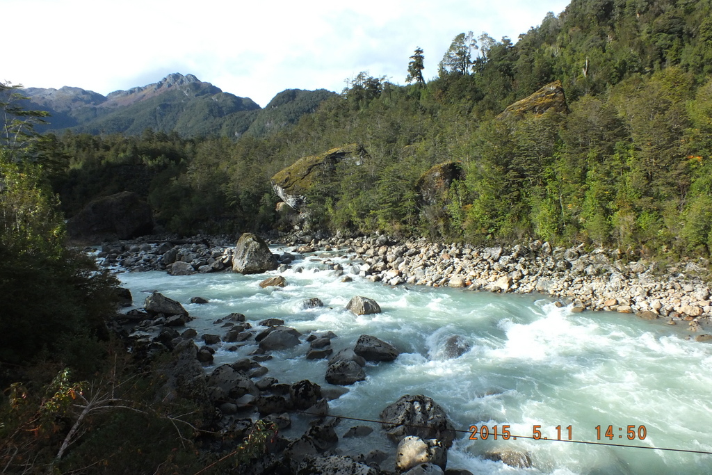 Foto: Parque Nacional Queulats - Aysen (Aisén del General Carlos Ibáñez del Campo), Chile