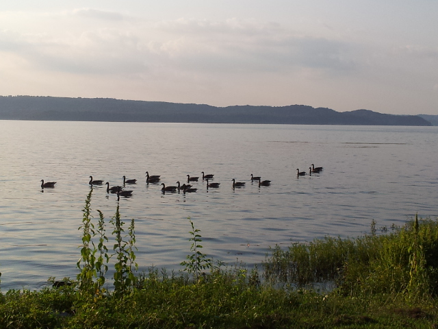 Foto de Guntersville (Alabama), Estados Unidos