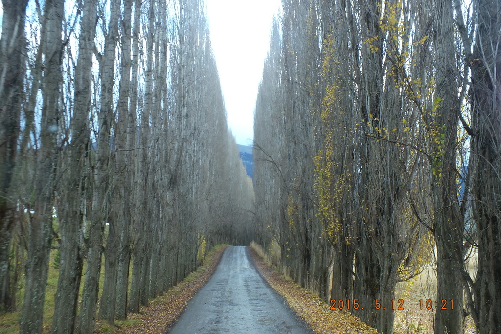 Foto: Coyhaique - Coyhaique (Aisén del General Carlos Ibáñez del Campo), Chile