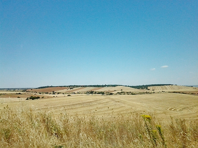 Foto: Paisaje - Hita (Guadalajara), España