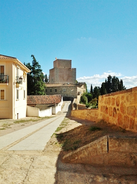 Foto: Muralla - Ciudad Rodrigo (Salamanca), España