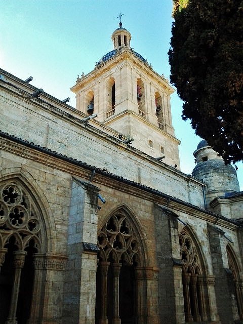 Foto: Claustro de la catedral - Ciudad Rodrigo (Salamanca), España