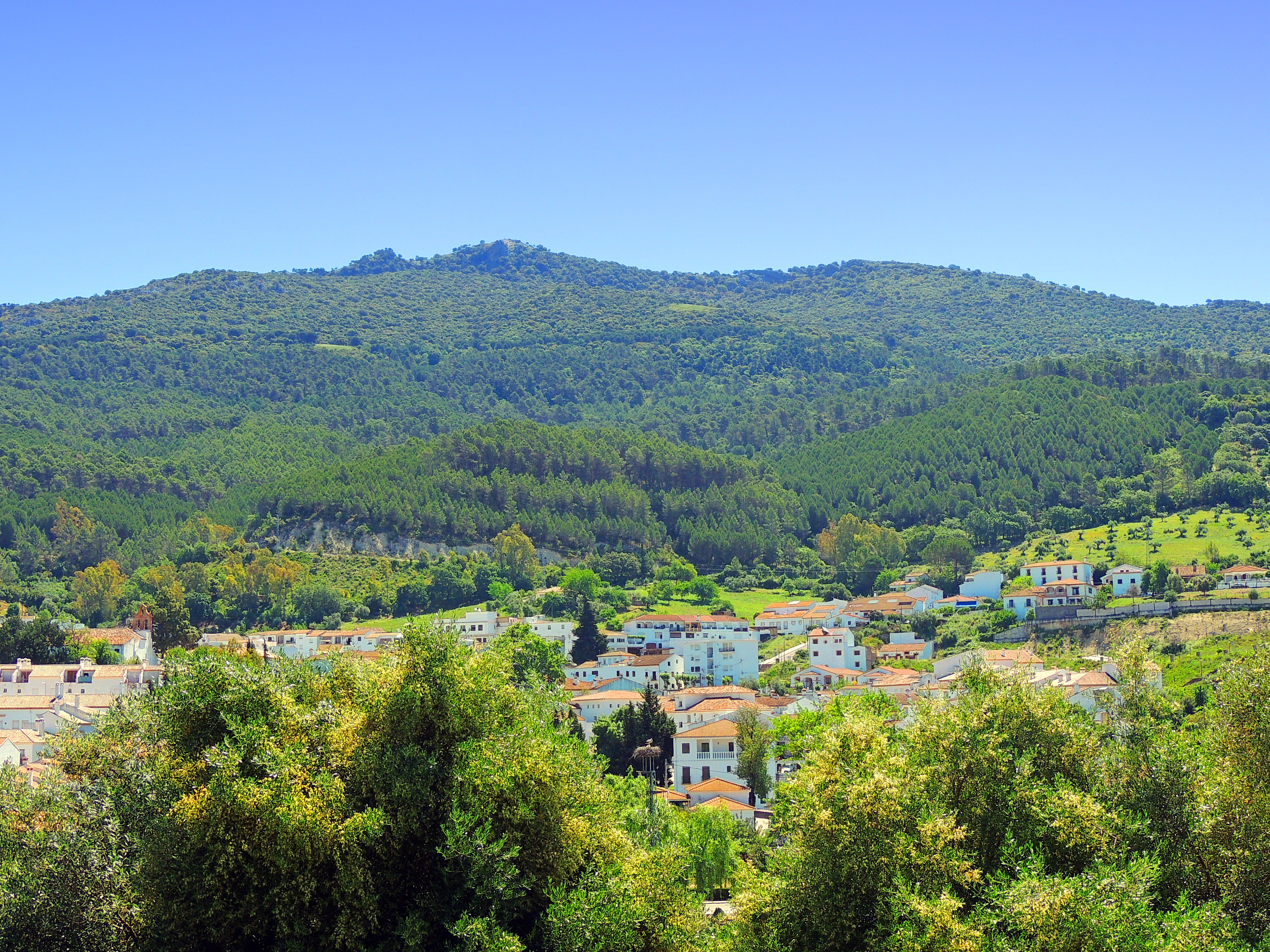 Foto de El Bosque (Cádiz), España