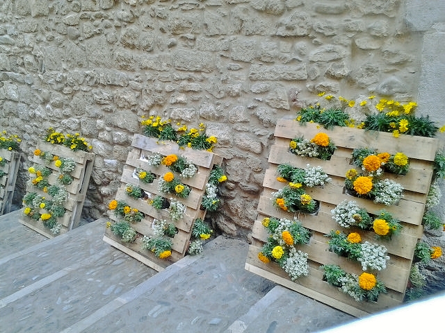 Foto: Girona tiempo de flores - Girona (Cataluña), España