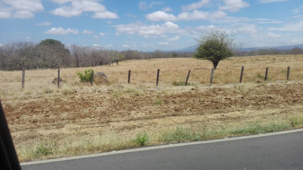 Foto: Pampa Guanacasteca - Cañas (Guanacaste), Costa Rica