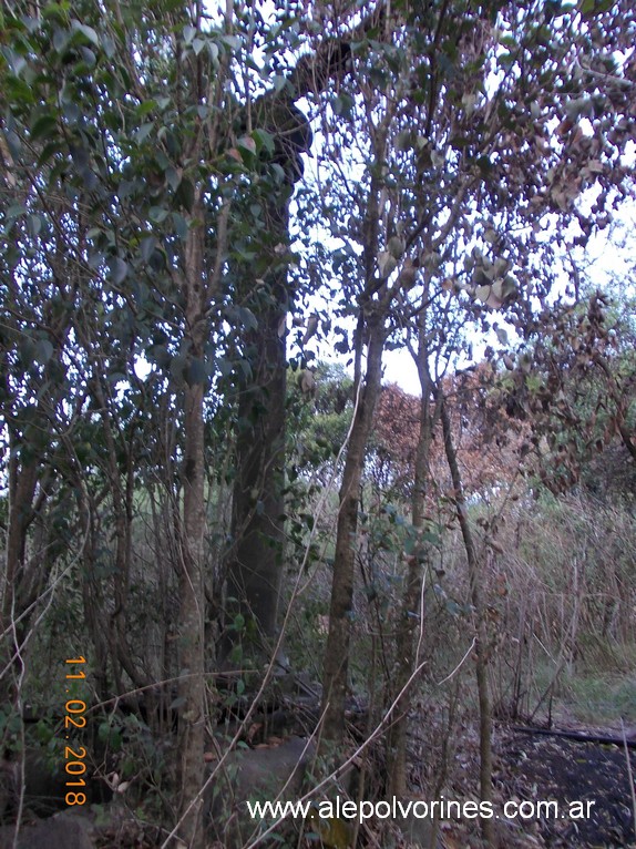 Foto: Estacion Liebig - Liebig (Entre Ríos), Argentina