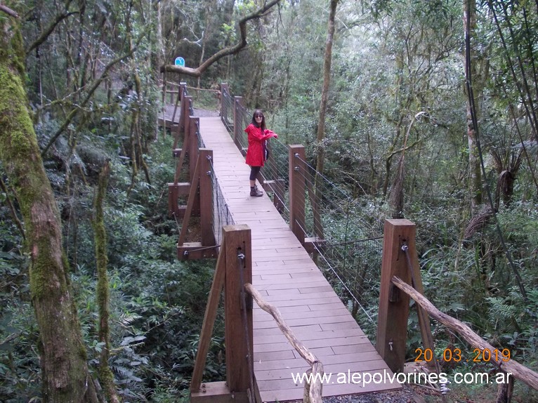 Foto: Salto Sao Joao - Prudentopolis - Prudentopolis (Paraná), Brasil