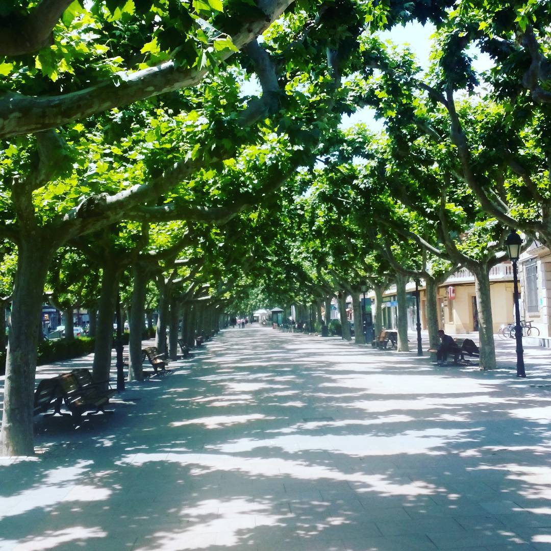 Foto: Paseo Cortes de Aragón - Calatayud (Zaragoza), España