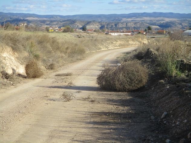 Foto: Enormes - Mazuecos (Castilla La Mancha), España