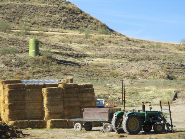 Foto: El pueblo siempre se dedicó a la agricultura y al pastoreo de ovejas - Mazuecos (Guadalajara), España