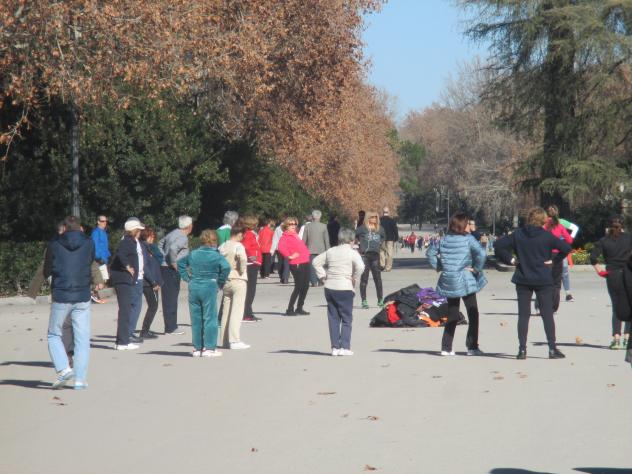 Foto: Gimnasia en el parque del Retiro - Madrid (Comunidad de Madrid), España