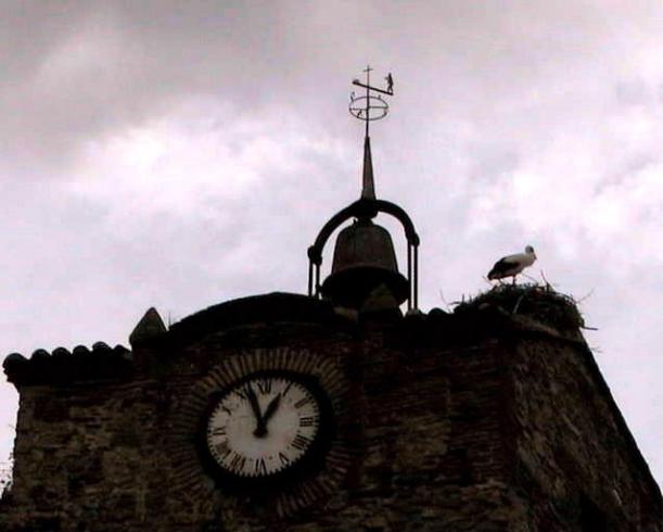 Foto: Nido de cigüeñas en el campanario - Buitrago de Lozoya (Madrid), España