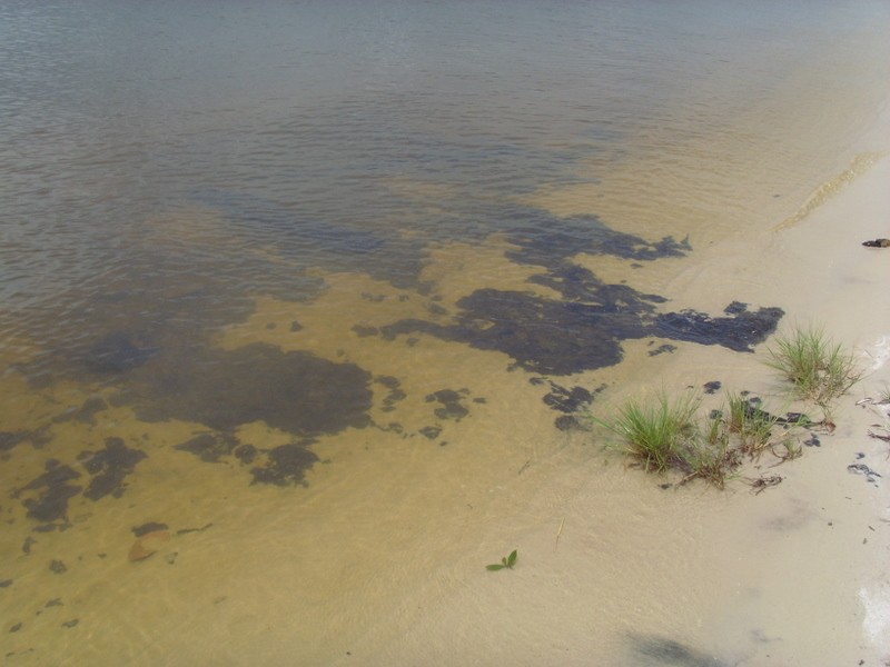 Foto: río Xingú, Praia da Chácara - Porto de Moz (Pará), Brasil