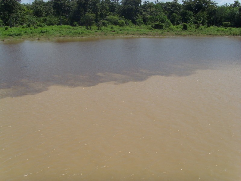 Foto: mezcla de aguas - Cuenca del Amazonas (Pará), Brasil