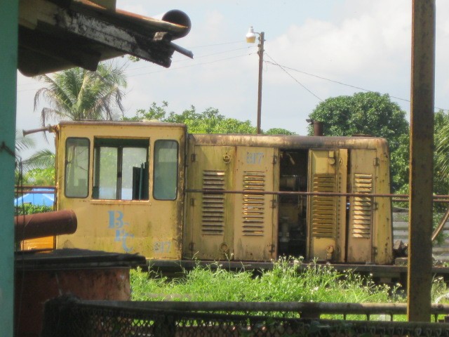 Foto: ferrocarril bananero Bocas Fruit Company, muerto - Almirante (Bocas del Toro), Panamá