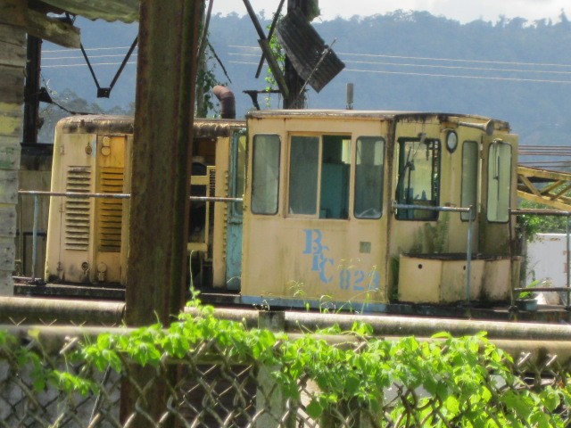 Foto: ferrocarril bananero Bocas Fruit Company, muerto - Almirante (Bocas del Toro), Panamá