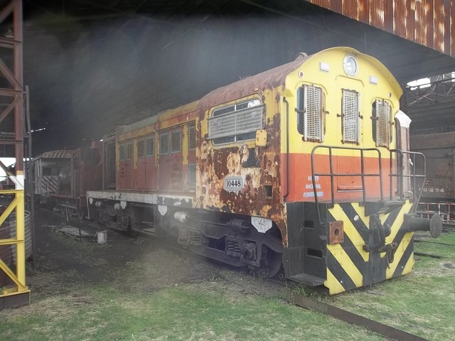 Foto: locomotora Werkspoor - Haedo (Buenos Aires), Argentina