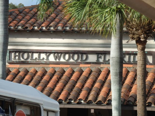 Foto: estación de Amtrak y Tri-Rail - Hollywood (Florida), Estados Unidos