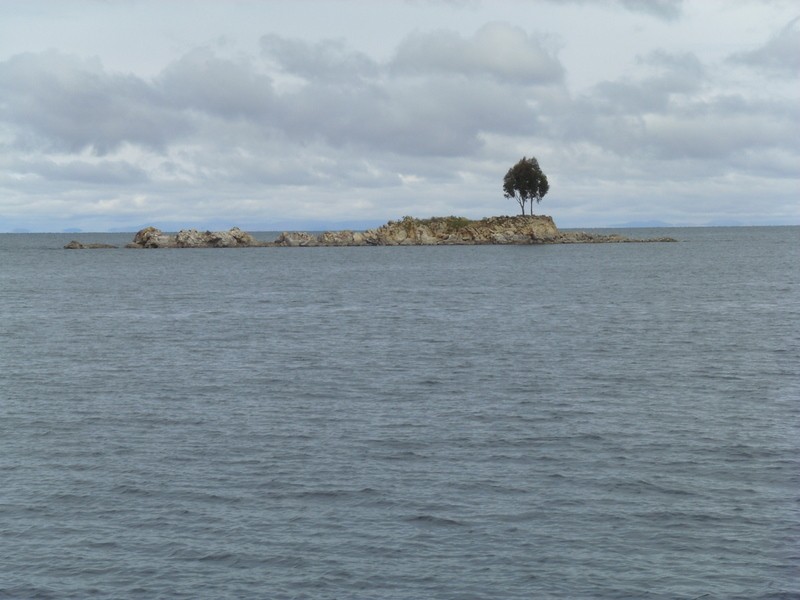 Foto: islita en el lago Titicaca - Zona de Copacabana (La Paz), Bolivia