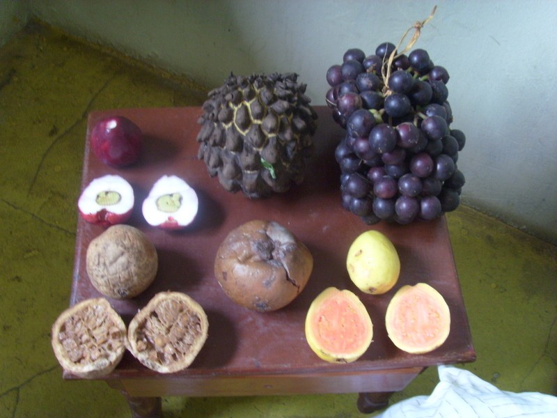 Foto: frutas amazónicas - Leticia (Amazonas), Colombia