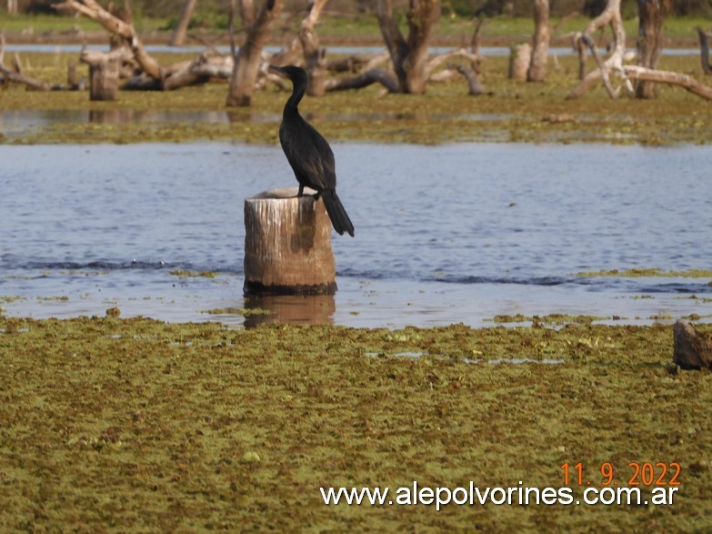 Foto: Bañado La Estrella - Formosa - Bañado La Estrella (Formosa), Argentina