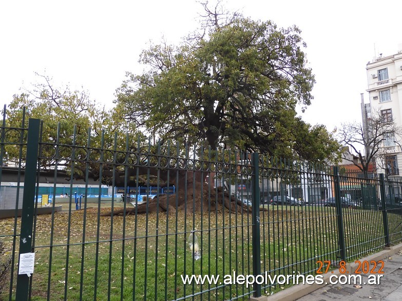 Foto: Constitución - Plaza Alfonsina Storni - Constitucion (Buenos Aires), Argentina