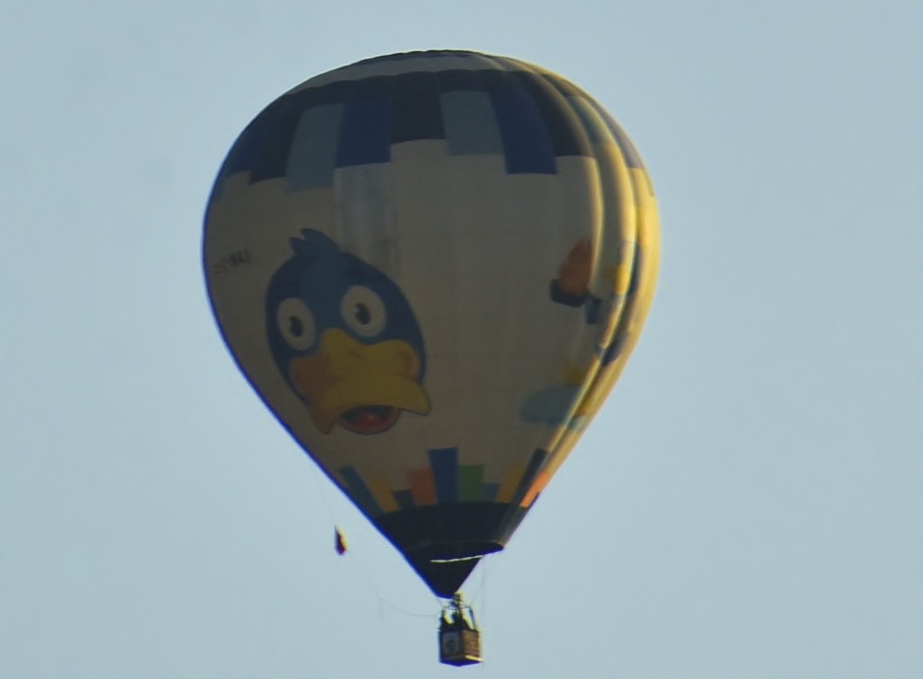 Foto: Concurso de globos 2023 - Igualada (Barcelona), España