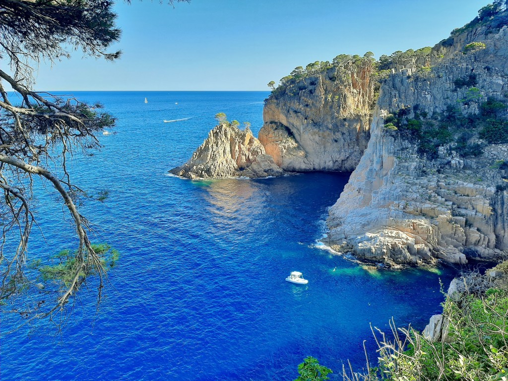 Foto: Cala de la Marina Alta - Valencia (València), España