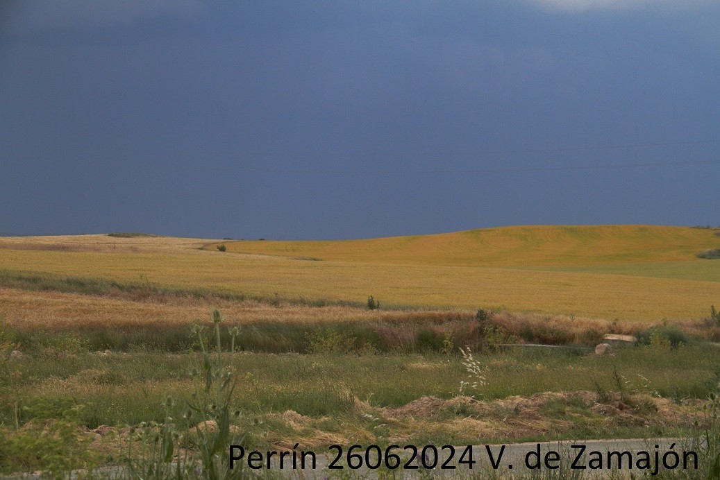 Foto de Villanueva de Zamajon (Soria), España