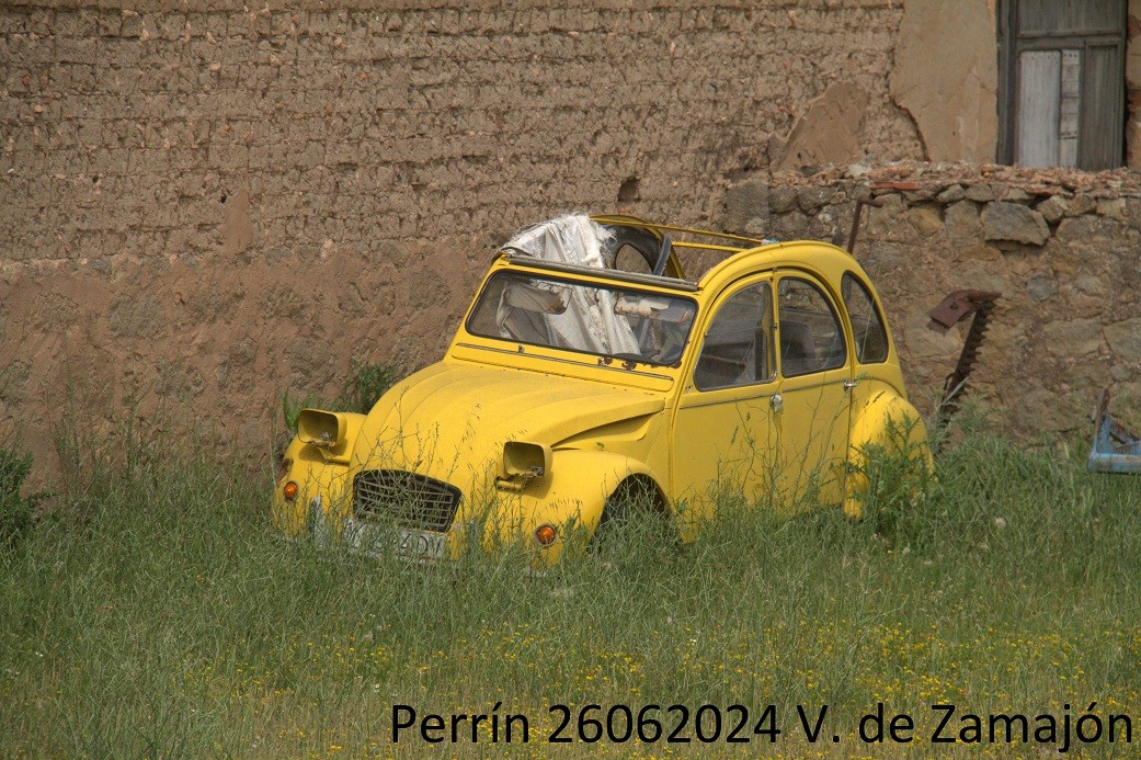 Foto de Villanueva de Zamajon (Soria), España