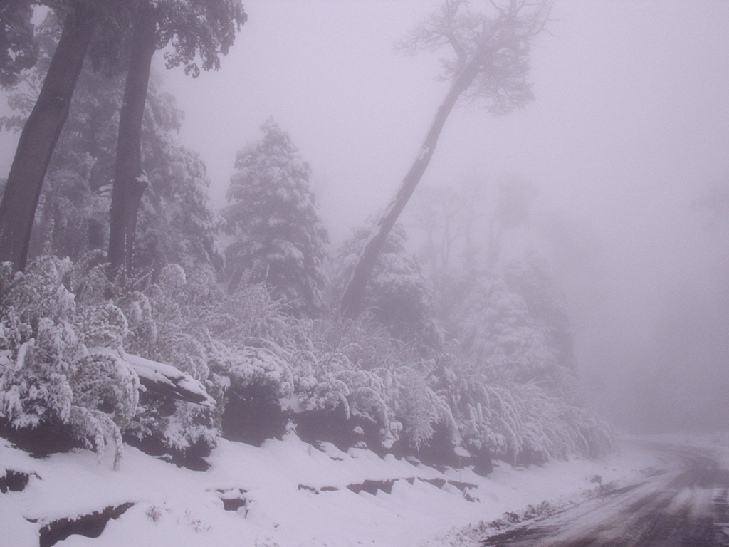 Foto de Villarrica, Chile