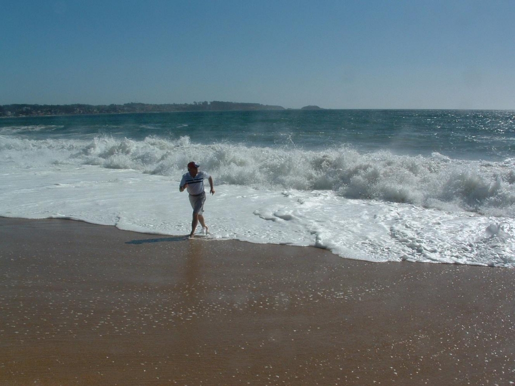 Foto de Algarrobo, Chile