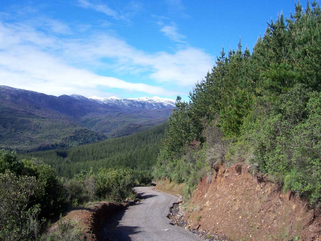 Foto de Linares (Colbun), Chile