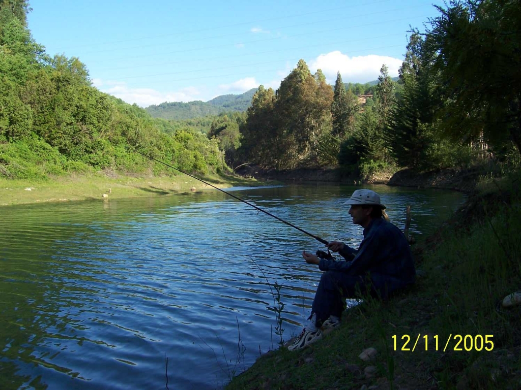 Foto de Linares (Colbun), Chile