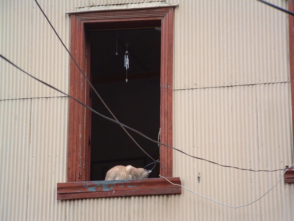 Foto de Valparaíso, Chile