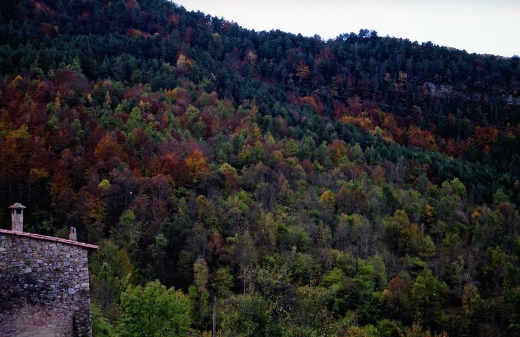 Foto de Queralbs (Girona), España