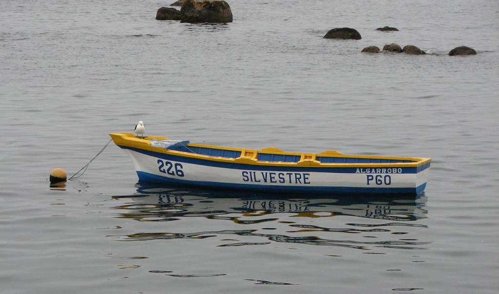 Foto de Algarrobo, Chile