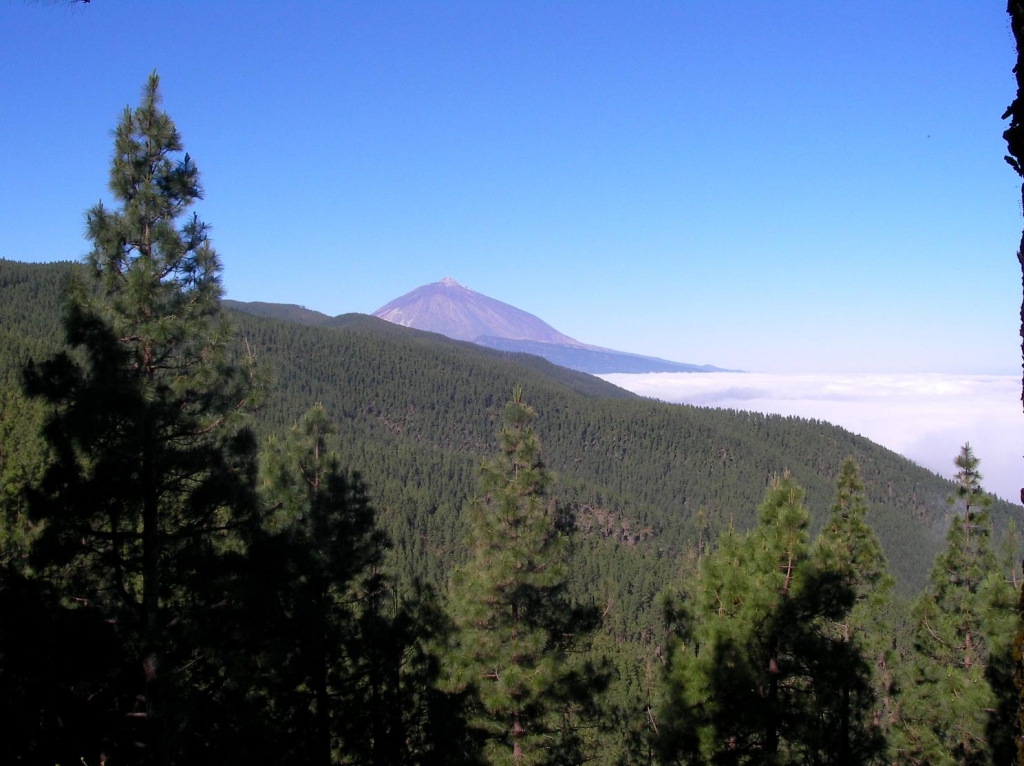 Foto de La Orotava (Santa Cruz de Tenerife), España