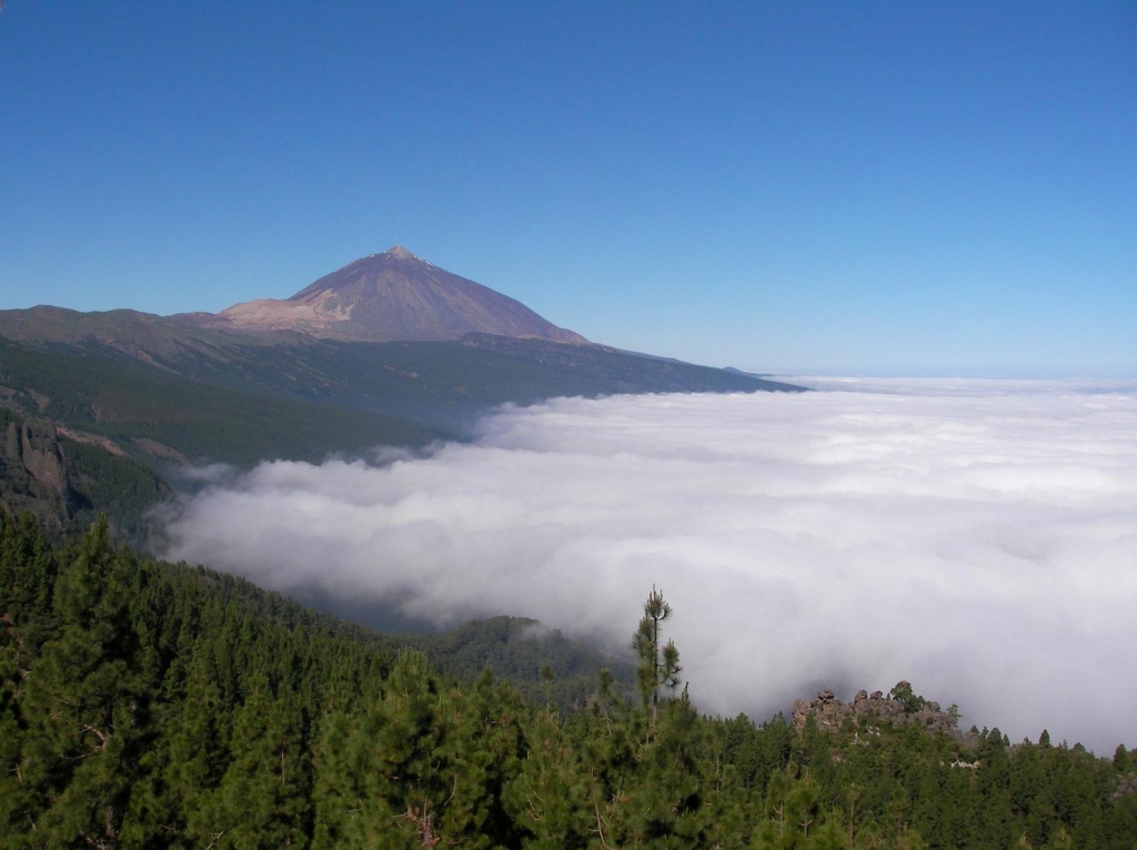 Foto de La Orotava (Santa Cruz de Tenerife), España