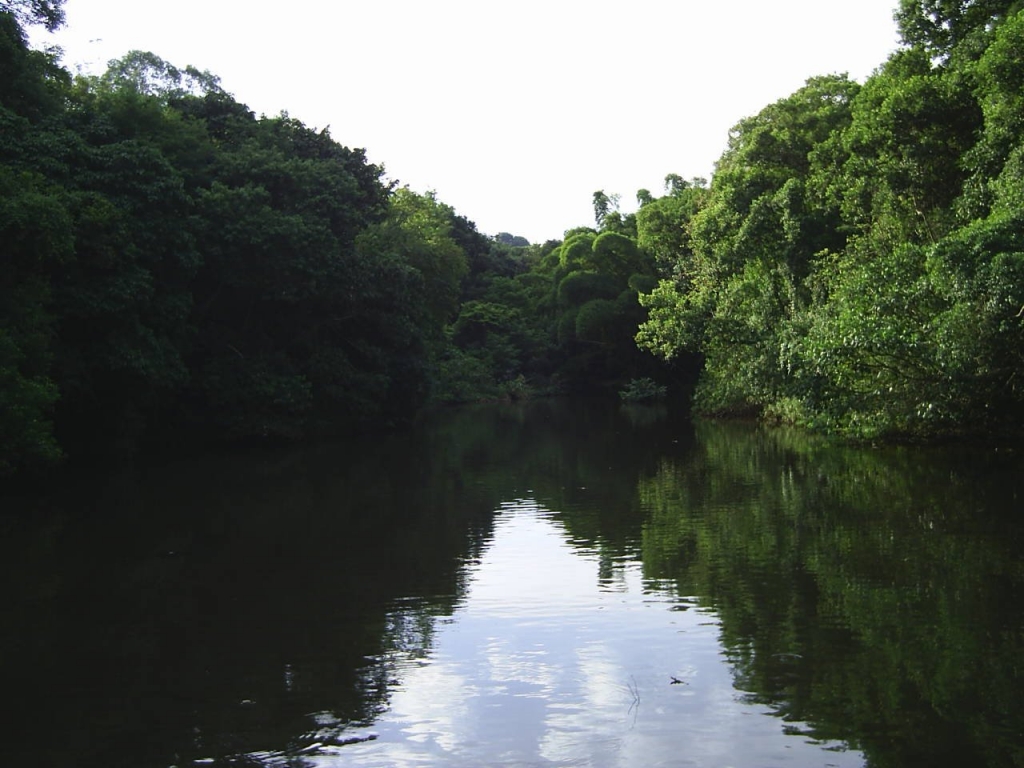 Foto de Londrina, Brasil