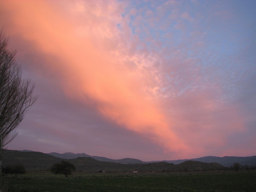 Foto de Curacaví, Chile