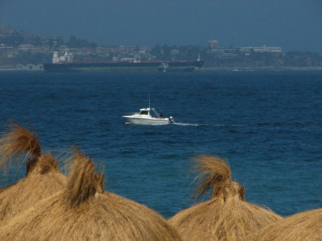 Foto de Viña del Mar, Chile