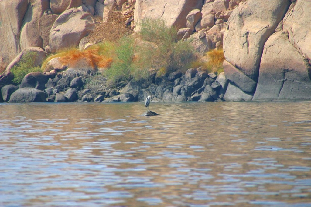 Foto de Aswan, Egipto