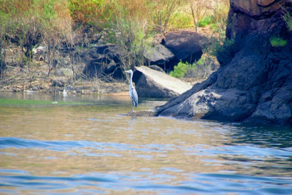 Foto de Aswan, Egipto