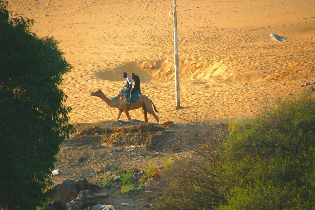 Foto de Aswan, Egipto